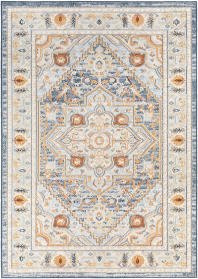 Looc Area Rug - Clearance