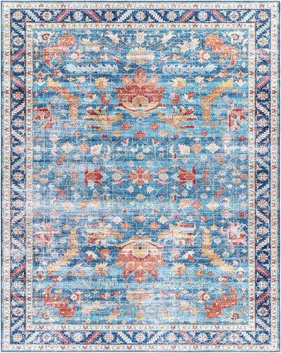 Lota Area Rug - Clearance