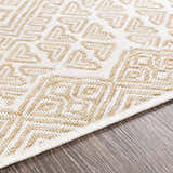 Texture
