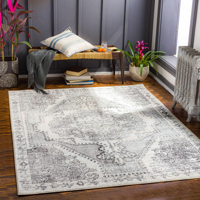 Lowpoint Area Rug - Clearance