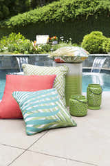 Lozano Outdoor Throw Pillow