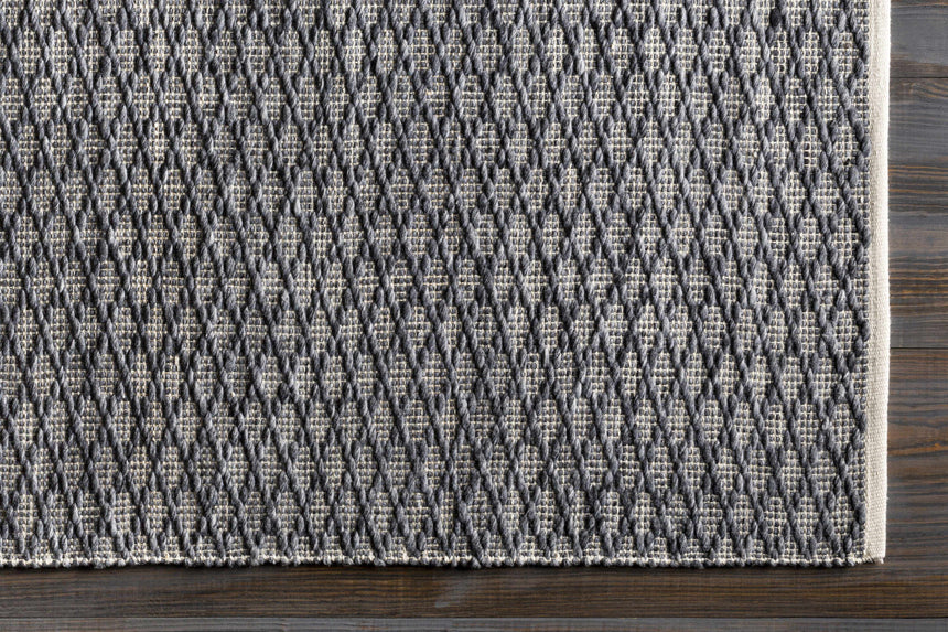 Alta Area Rug - Clearance