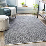 Alta Area Rug - Clearance