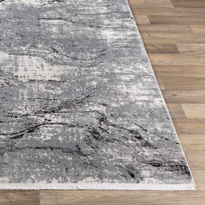 Littleport Area Rug - Promo