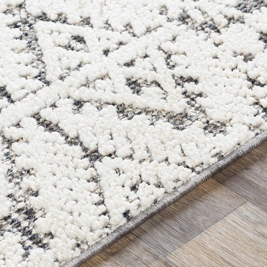 Close-up of the Luddenham Textured Outdoor Rug. White and gray farmhouse-style rug with a soft, raised pattern. Texture