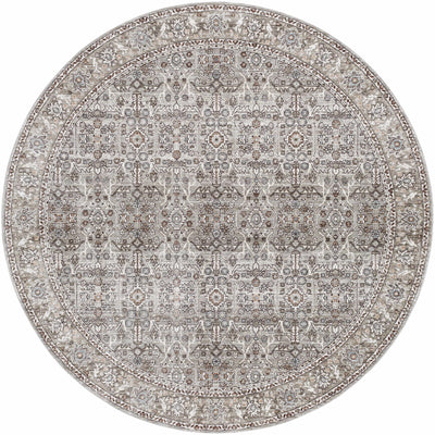 Lugo Area Rug