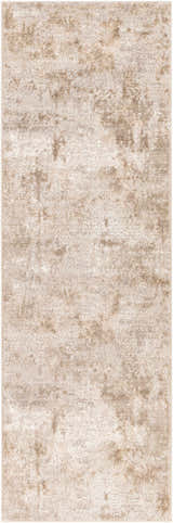 Close-up of the Lumbia Distressed Embossed Area Rug, showcasing its beige and light brown abstract pattern and textured design. Design-Runner-273