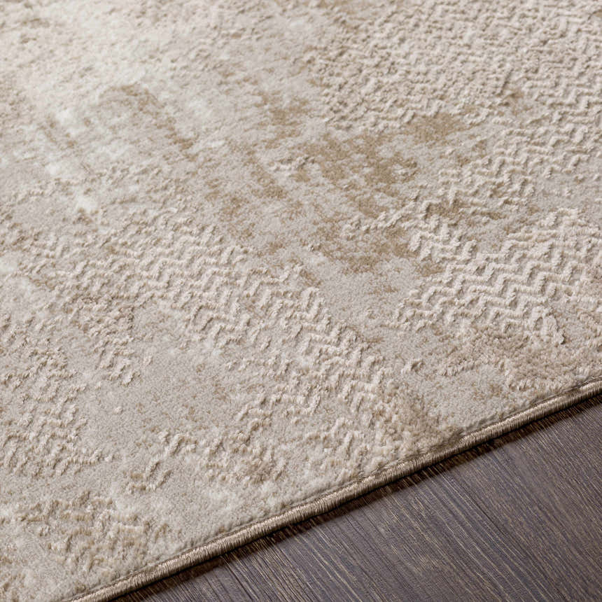 Close-up of the Lumbia Distressed Embossed Area Rug showing its beige color, subtle pattern, and textured weave. Texture