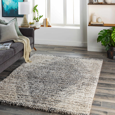 Laytown Area Rug - Clearance