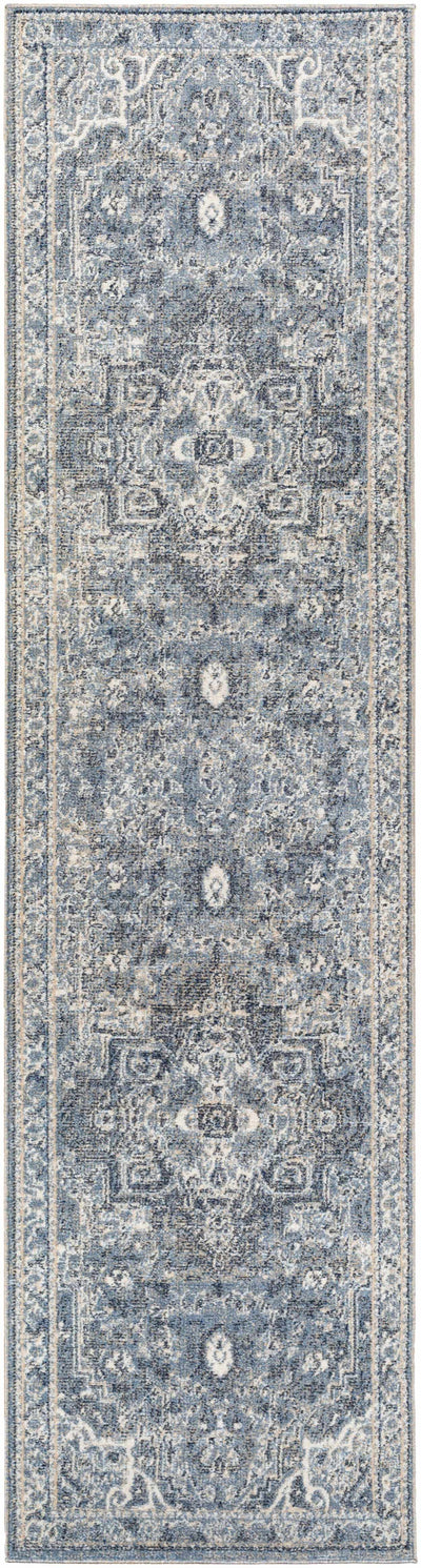 Buguey Blue Area Rug - Clearance