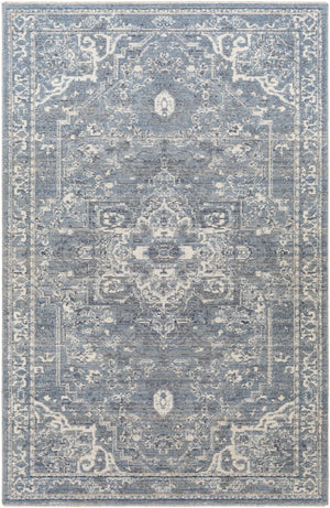 Buguey Blue Area Rug - Clearance