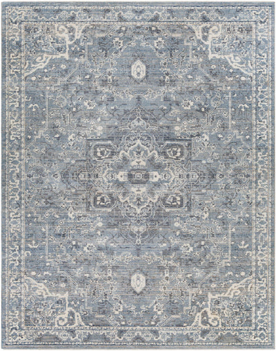 Buguey Blue Area Rug - Clearance