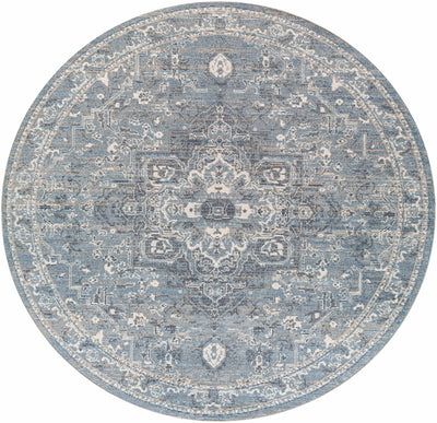 Buguey Blue Area Rug - Clearance