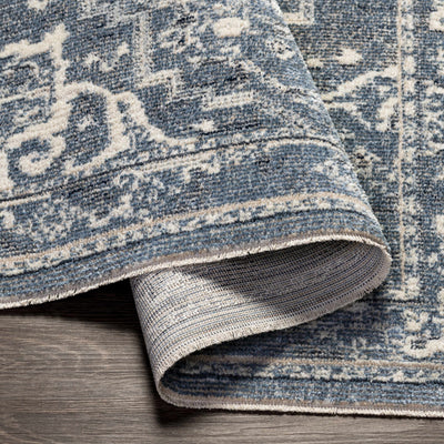 Buguey Blue Area Rug - Clearance