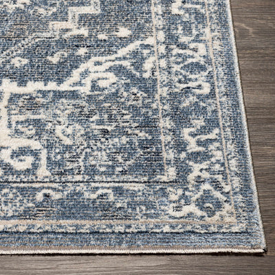 Buguey Blue Area Rug - Clearance