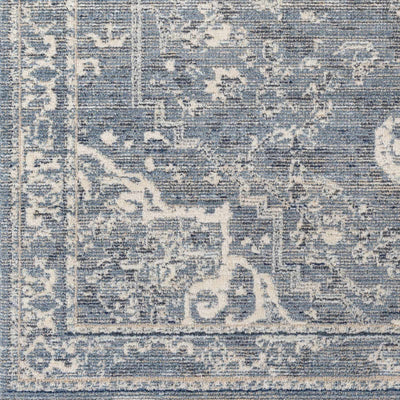 Buguey Blue Area Rug - Clearance