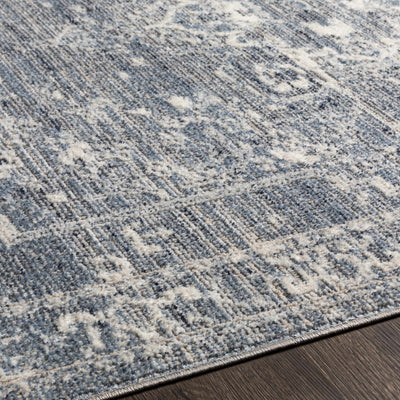 Buguey Blue Area Rug - Clearance