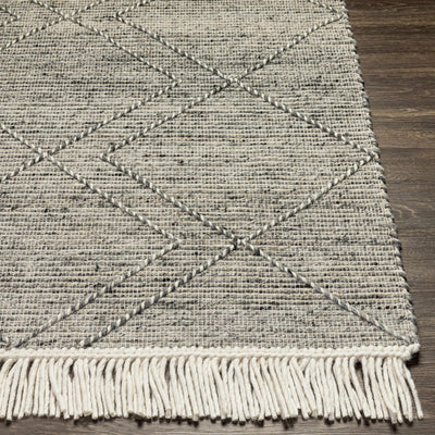 Gray Malilipot Wool Blend Braided Tassel Area Rug - Clearance