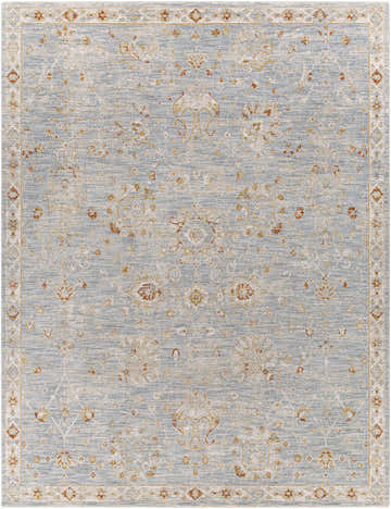Close-up of the Mangham Thick Luxe Area Rug, featuring a blue, beige, and rust traditional pattern. Design-Rectangle-710103