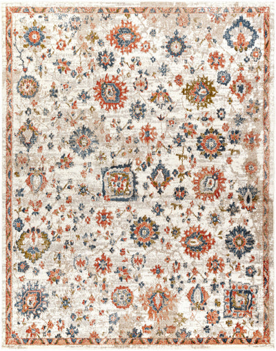 Mayabon Traditional Area Rug - Clearance