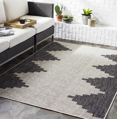 Arcata Black/Beige carpet