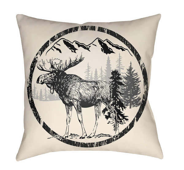 McCord Outdoor Throw Pillow