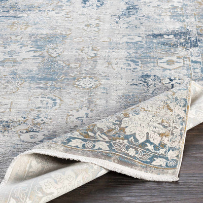 Meggett Distressed Viscose Area Rug