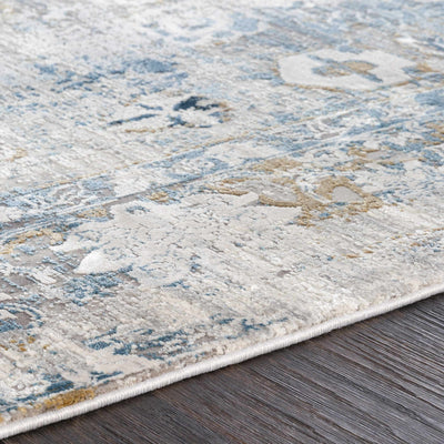 Meggett Distressed Viscose Area Rug