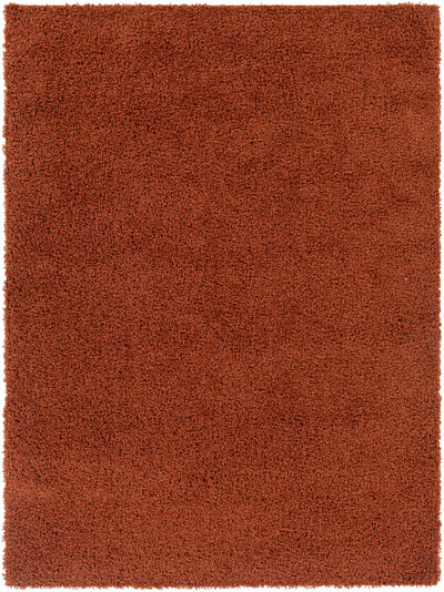 Burnt Orange Rug