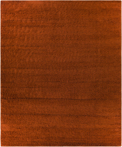 Burnt Orange Rug