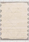 Close-up of the Metzger Area Rug. Beige shag rug with gray diamond pattern, textured border, and tassels. Bohemian style. Design-Rectangle