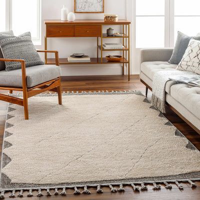 Metzger Area Rug - Clearance