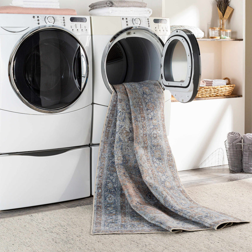 Mianay Washable Area Rug - Clearance