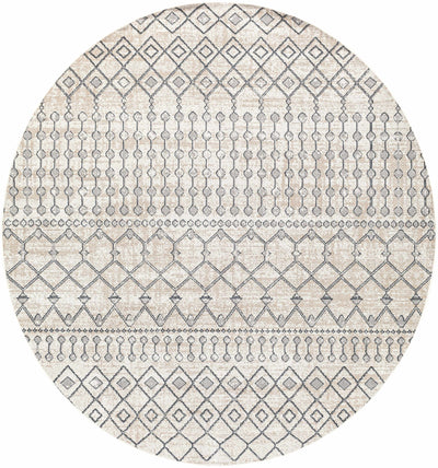 Midstream Washable Area Rug - Clearance