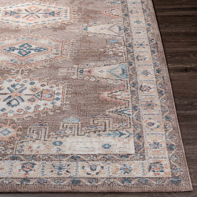 Millswood Indoor & Outdoor Rug - Clearance