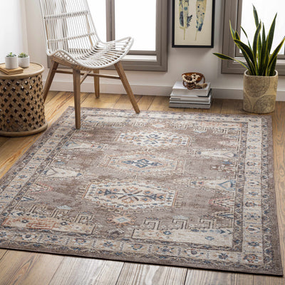 Millswood Indoor & Outdoor Rug - Clearance