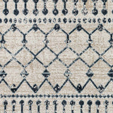 Modderfontein Washable Area Rug - Clearance