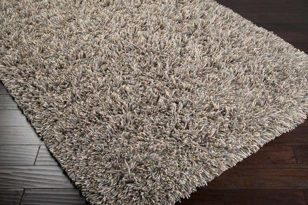 Modesto Area Rug - Clearance