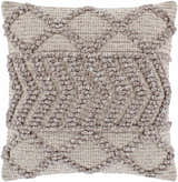Mold Pillow Cover - Clearance
