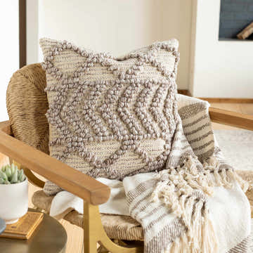 Mold Pillow Cover - Clearance