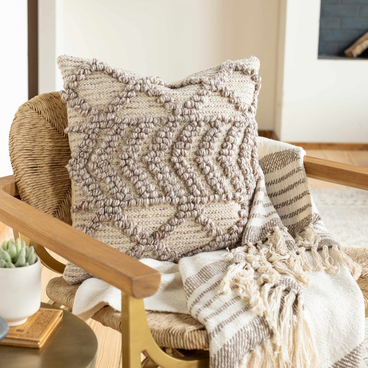 Mold Pillow Cover - Clearance