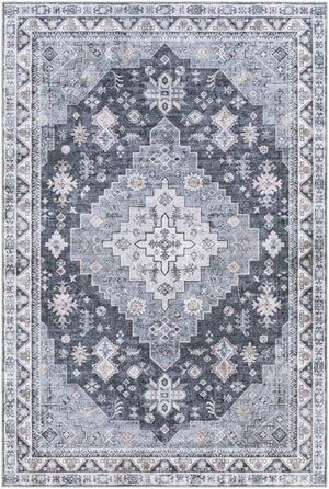 Mondragon Washable Area Rug - Clearance