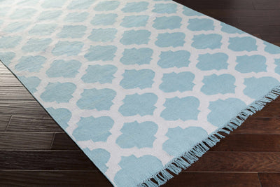 Unique Teal Outdoor Trellis Area Rug - Clearance