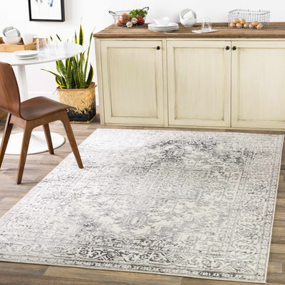 Motley Ultra Distressed Beige Area Carpet - Clearance