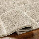 Maro Area Rug