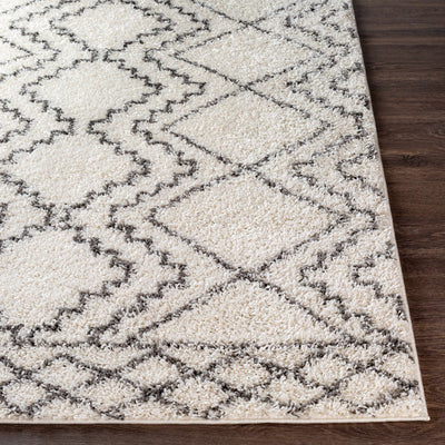 Mooroolbark Area Rug - Clearance