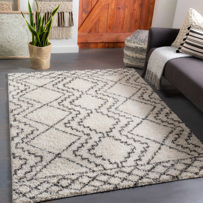 Mooroolbark Area Rug - Clearance