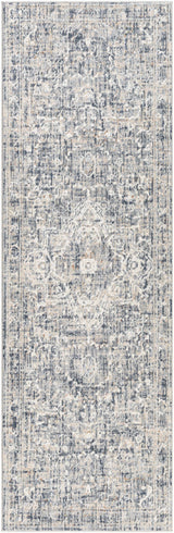 Buguey Blue & Gray Area Rug - Clearance