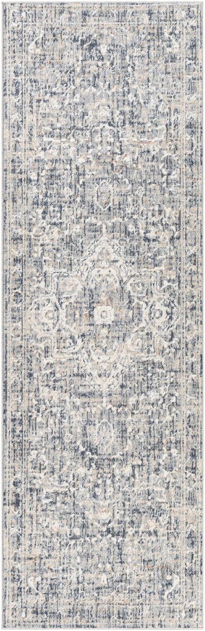 Buguey Blue & Gray Area Rug - Clearance