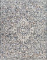 Buguey Blue & Gray Area Rug - Clearance